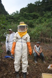 Imkerei_Ronja Reuter-2